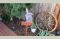 Rancho Stony Knoll 125727