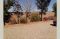 Desert Song 127795