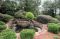 Southern Plantation 134086