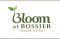 Bloom at Bossier 168728