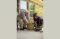 Mayberry Gardens 176535