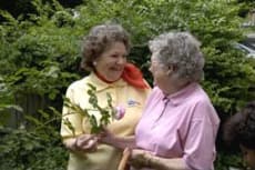 50 Home Care Facilities Near San Diego Ca A Place For Mom