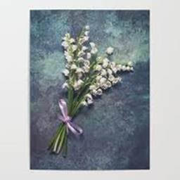 hamptons housekeeping service