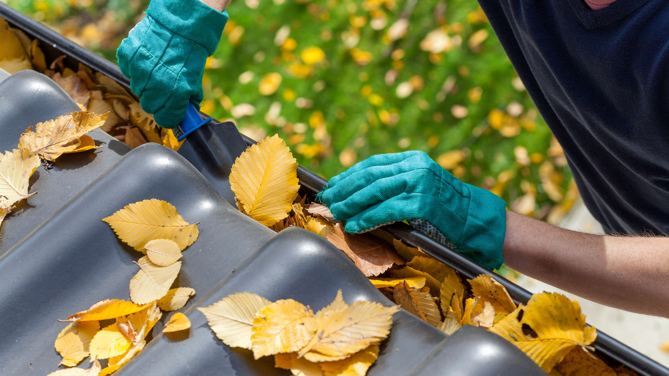 gutter cleaning services for fall