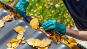 gutter cleaning services for fall
