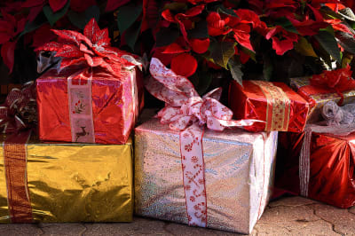 Wrapped gifts sit in front of poinsettias