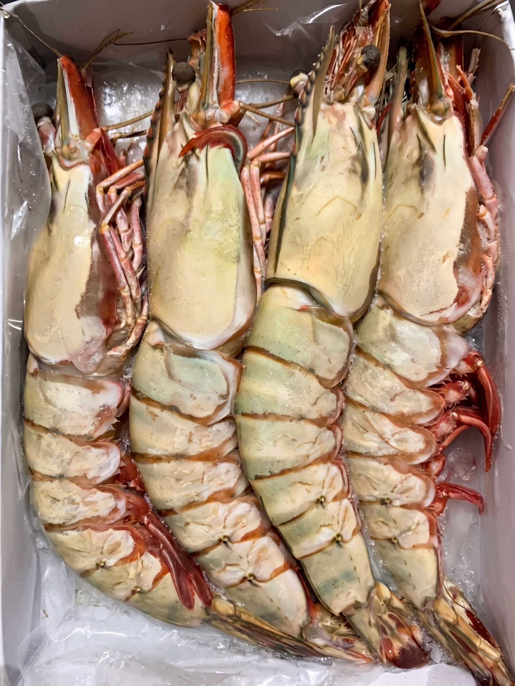 Tiger Prawn — Export Grade Sun-Dried Fish Maw Wholesale Bangladesh (HS Code 0305.72) | FishMaw Chittagong