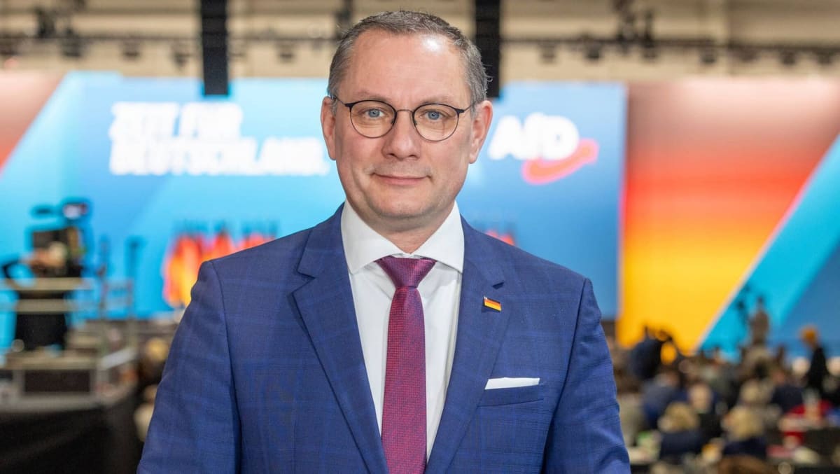 Allemagne : la victoire de l'AfD en Saxe-Anhalt suscite des débats sur les ingérences