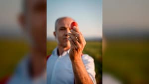 Agroalimentaire : comment le géant de la tomate Mutti joue son année en 70 jours