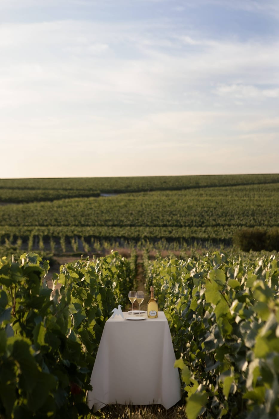 Mesa puesta con una botella de Ruinart entre las viñas de Champagne, imagen de La Table Ruinart x Cheval Blanc Paris