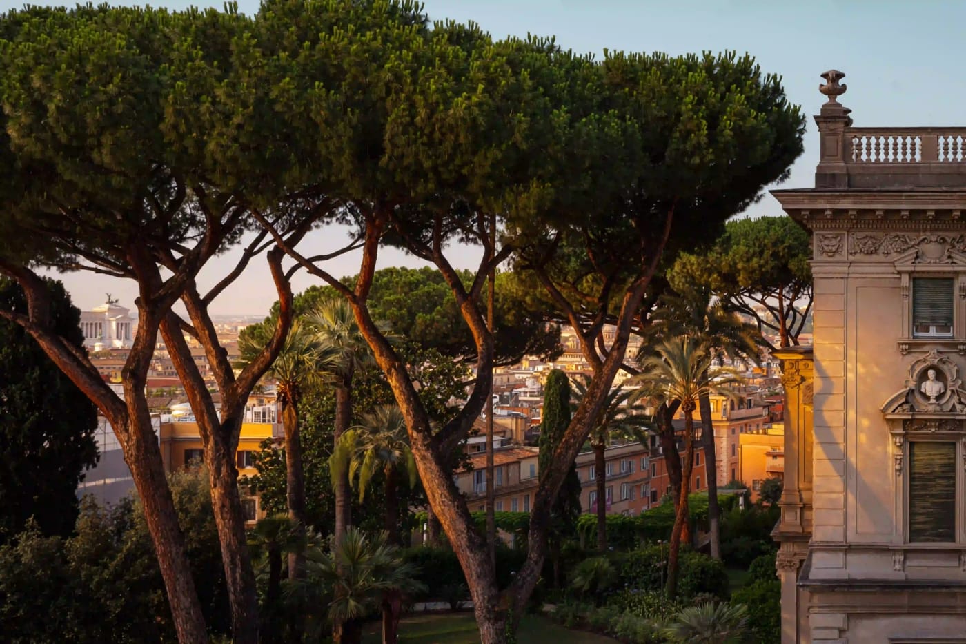 Blick bei Sonnenuntergang auf die Schirmpinien von einer Terrasse des Hotels Experimental Roma nahe der Via Veneto