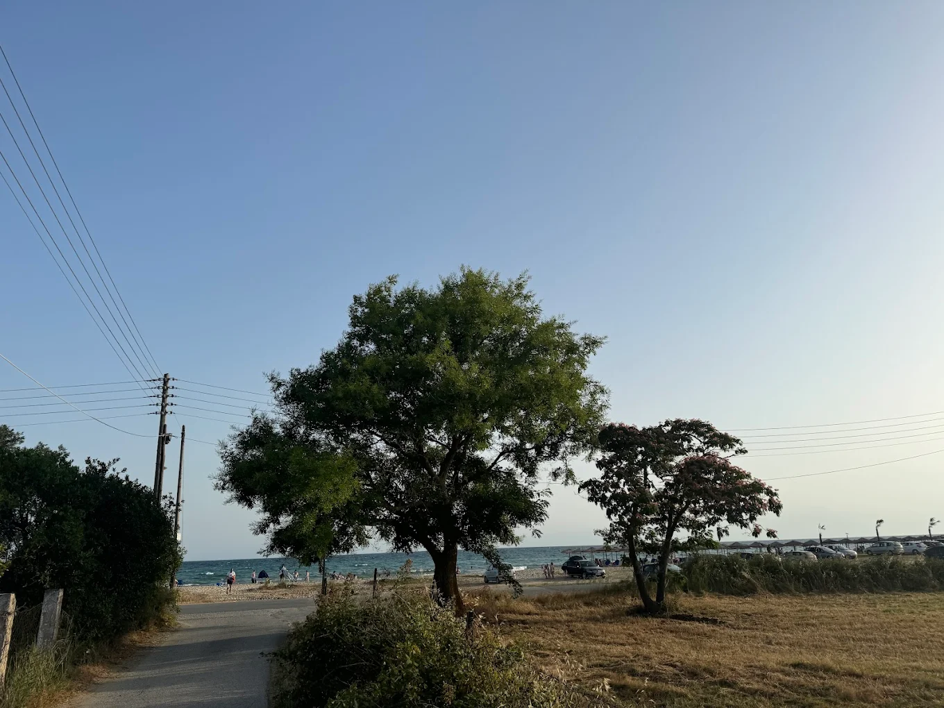 Ohana Beach 3