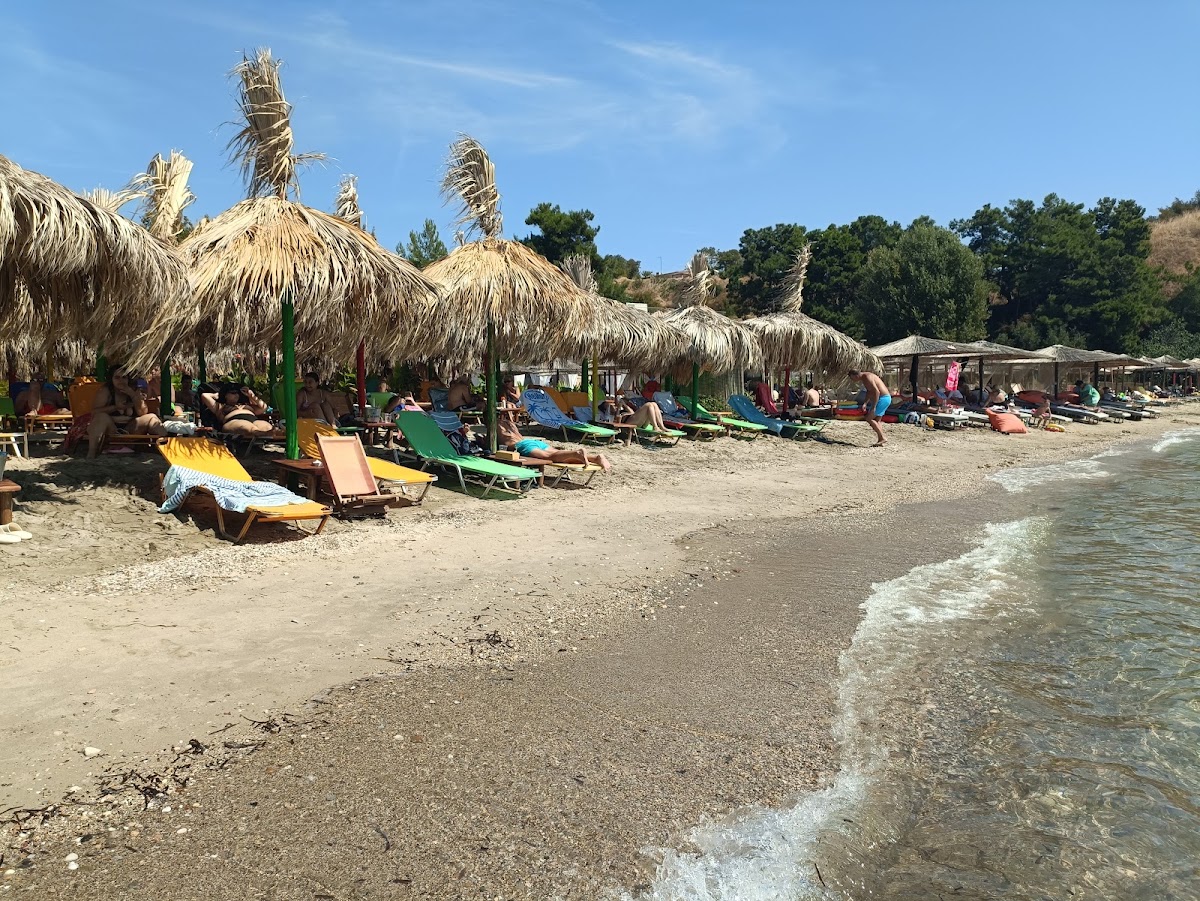 Rasta Beach Bar 3