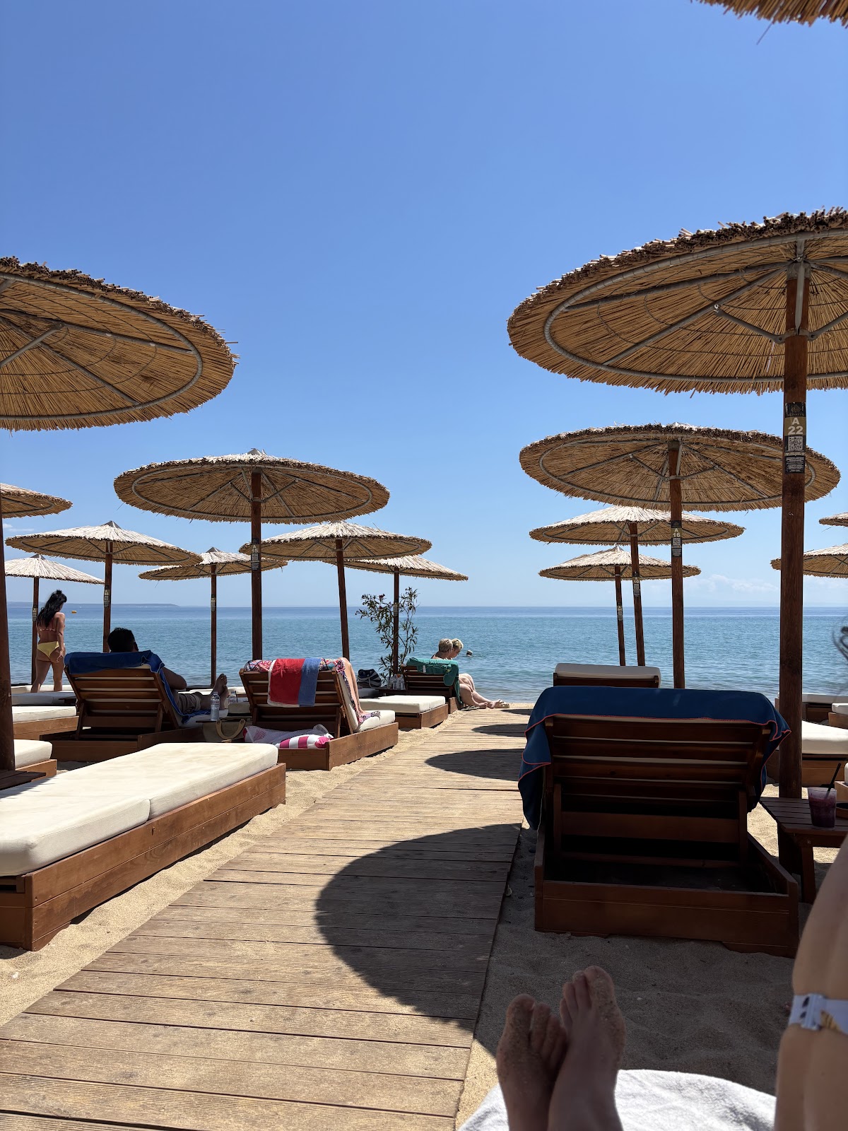 Monkey's Beach Bar 3