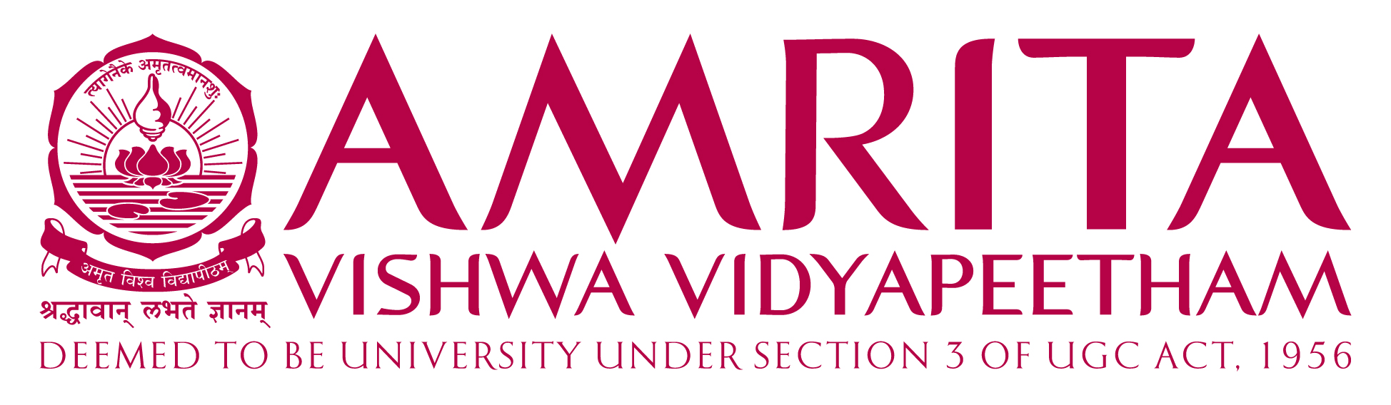 University logo