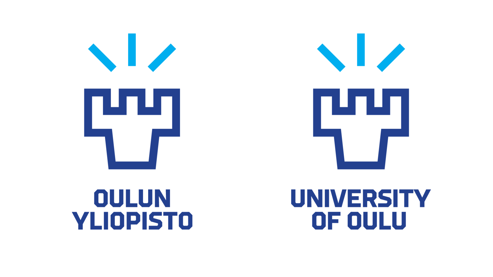 University logo
