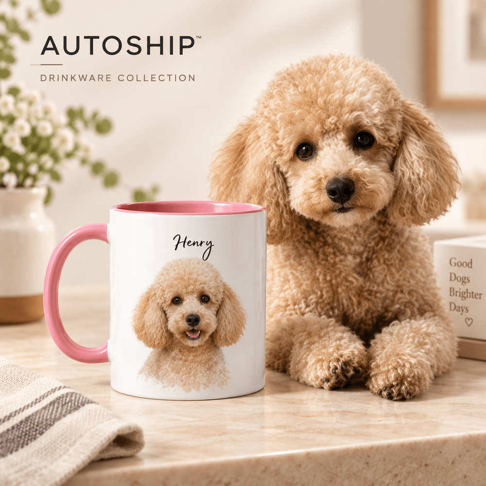 11oz Accent Mug (US)