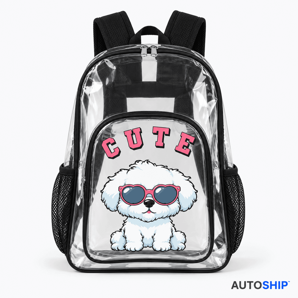 Transparent backpack