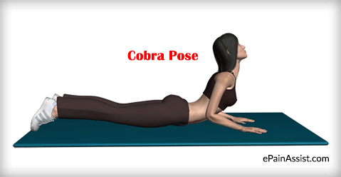 in bed exercise cobra