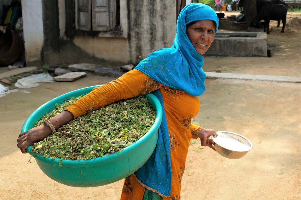 The importance of rural women indian economy