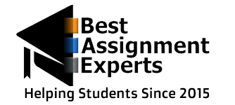 Best Assignment Experts