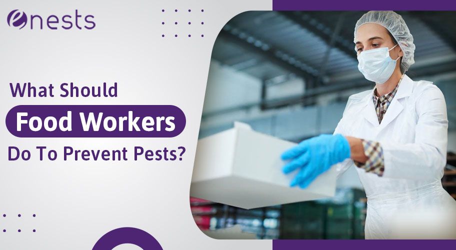 What Should Food Workers Do To Prevent Pests