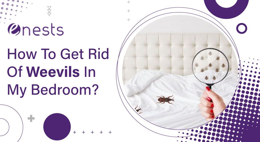 How To Get Rid Of Weevils In My Bedroom