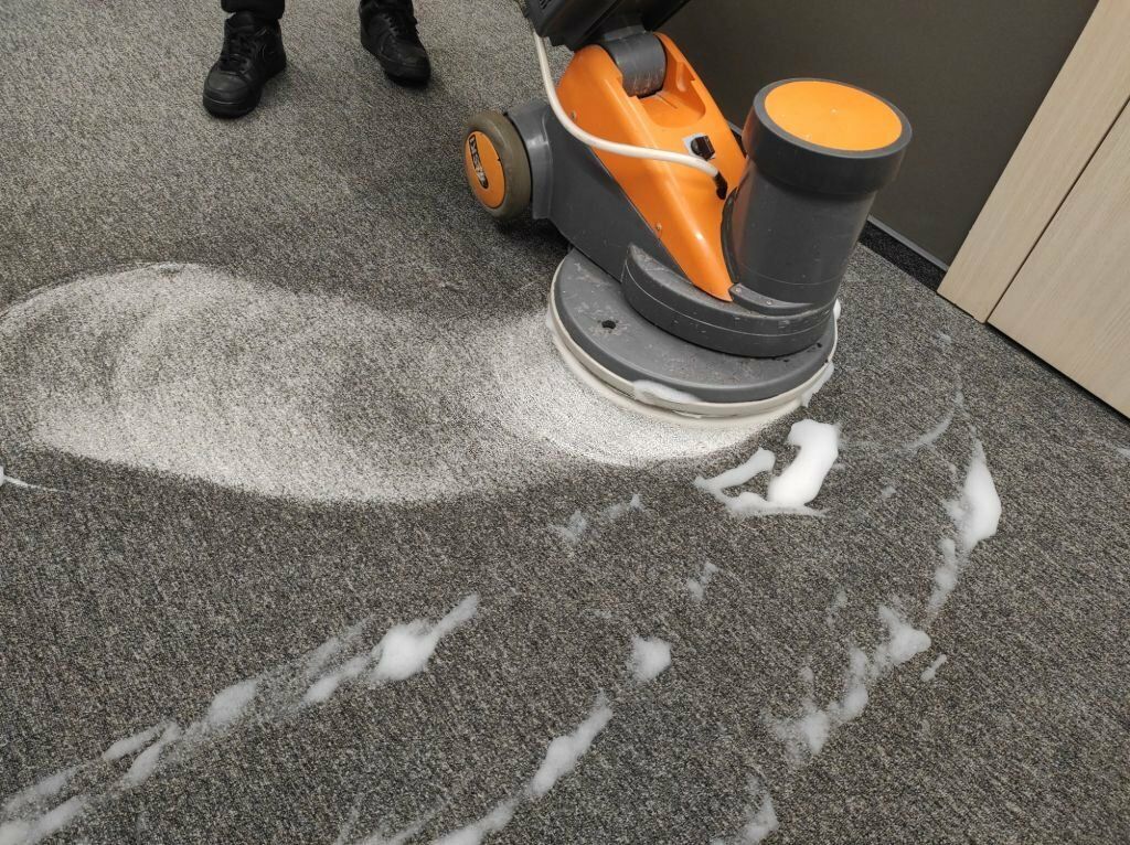 Dolphin Carpet Cleaning