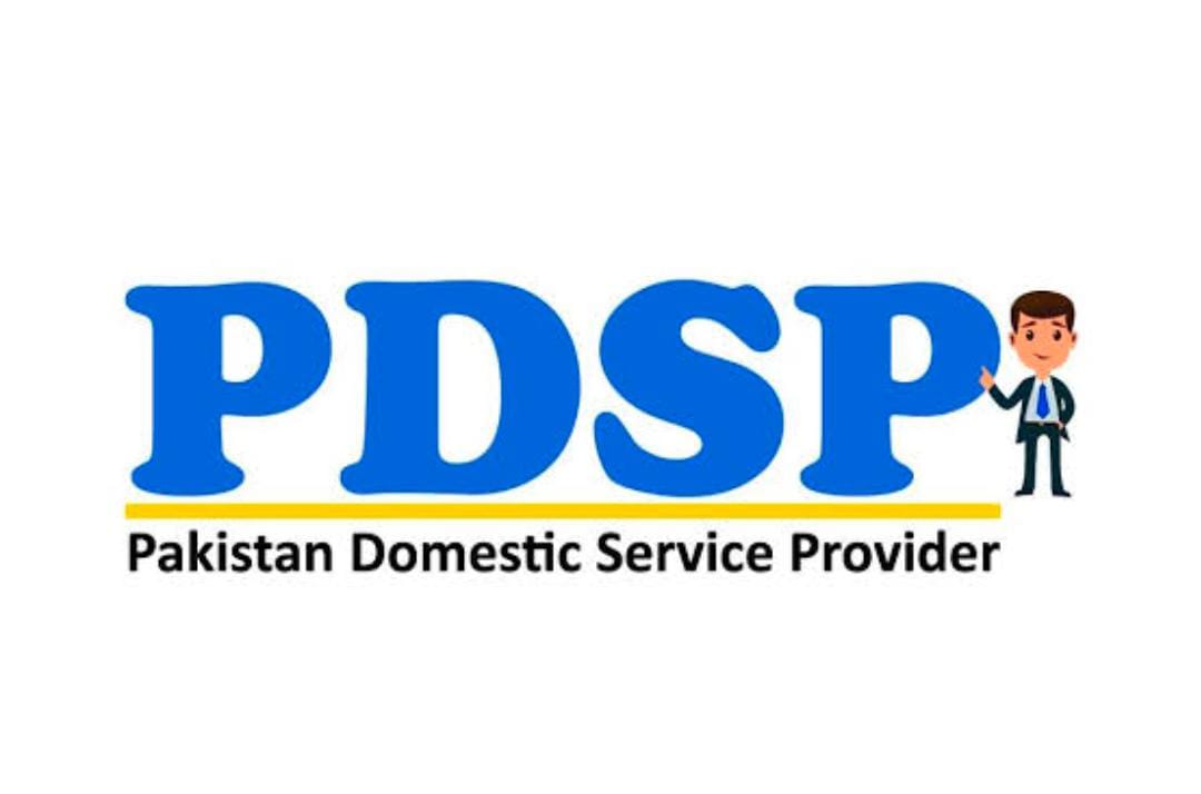 Pakistan Domestic Service Provider