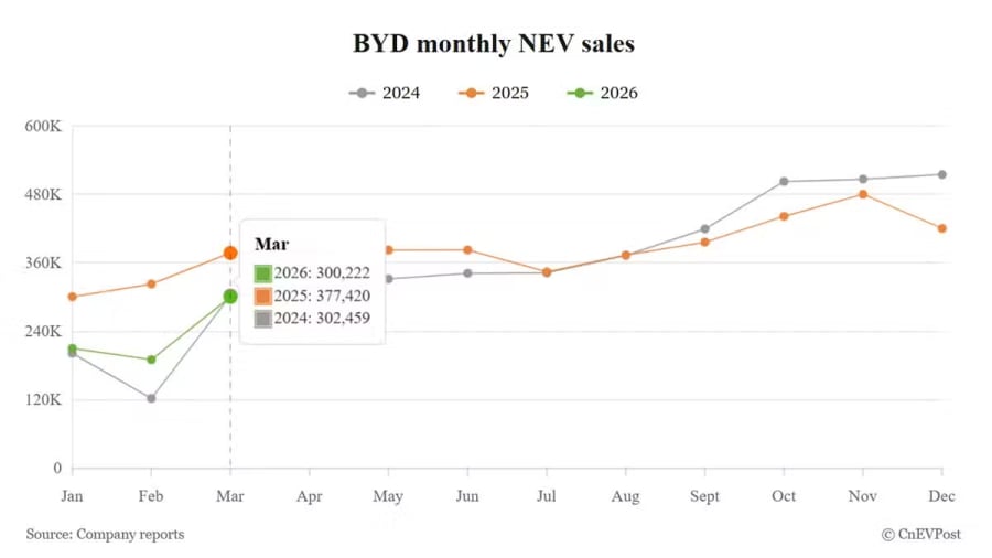 BYD Mar NEV sales rebound to over 300,000 as overseas growth accelerates