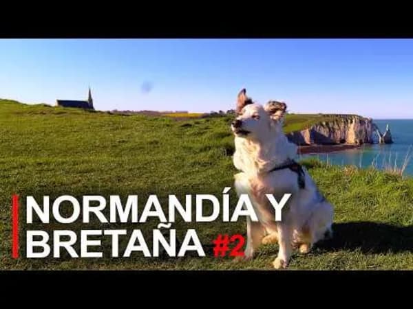 TESLA TRIP Normandía y Bretaña Francesa | Étretat, Honfleur, Longues-sur-Mer, Omaha Beach...