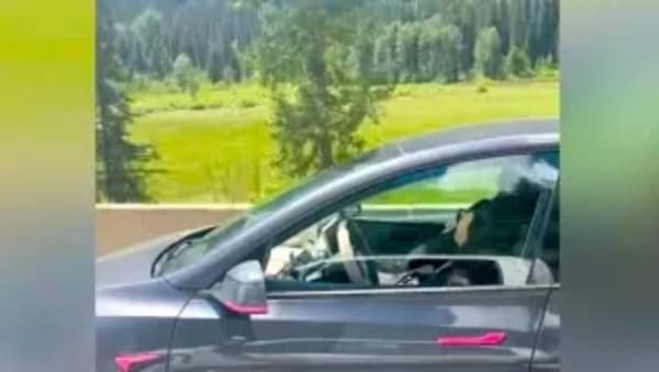 Tesla, conductora se duerme a 100 km/h con el sistema autónomo activado en Canadá