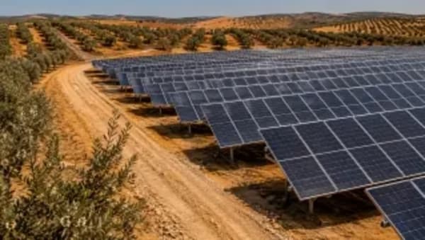 José Portillo, agricultor de Sevilla, multiplica sus ingresos con placas solares