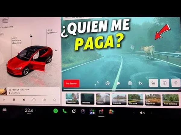 Tesla Dashcam, graba atropello de vaca, ¿quién paga los daños?