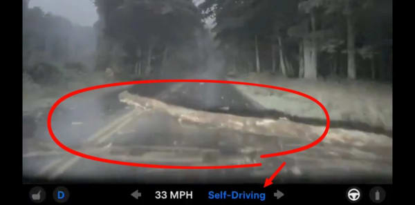 Tesla FSD v14 Lite, un coche pasa sobre un gran tronco sin frenar
