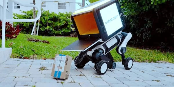 R-dog, el nuevo perro robot repartidor que proyecta anuncios