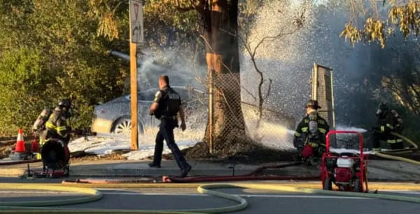 Tesla Autopilot y FSD registran cuatro accidentes mortales en un mes