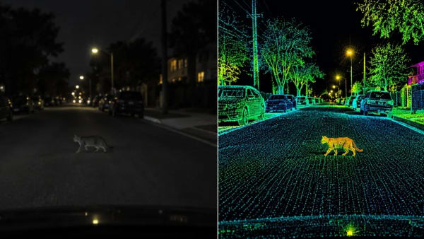 Tesla Robotaxi, dudas sobre la seguridad de sus cámaras de noche