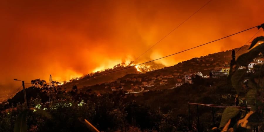 La "idea estúpida" de Trump de arancelar a Canadá por el humo podría sentar un precedente útil