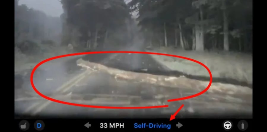 Mira cómo el FSD v14 Lite de Tesla pasa por encima de un gran tronco sin detenerse