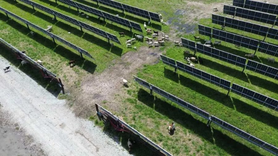 ¿Hunden los parques eólicos y solares el valor de las viviendas? Un estudio de 20 años tiene la respuesta
