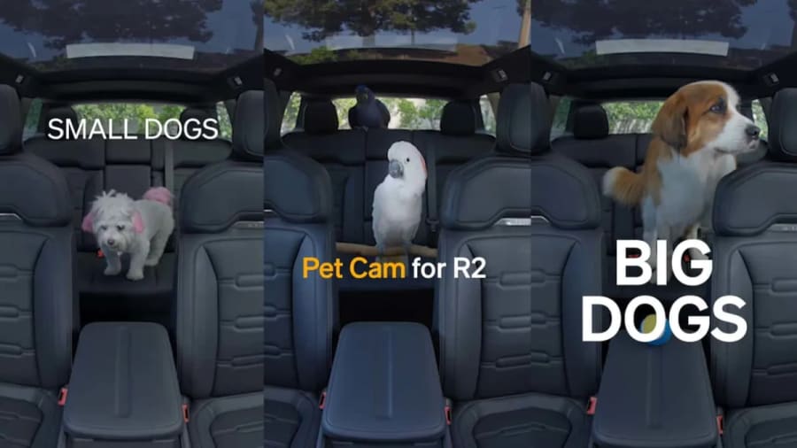 La nueva Pet Cam del Rivian R2 permite a los dueños vigilar a sus mascotas desde cualquier lugar