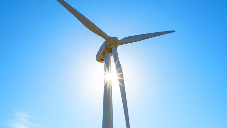 La 'otra contaminación' de los aerogeneradores eólicos que no se respira, pero que la UE considera como un "tema prioritario"
