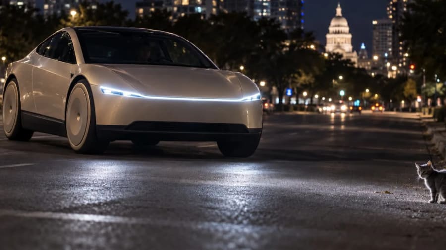 Tesla quiere Robotaxi 24 horas, pero unos gatitos grises están complicando el plan
