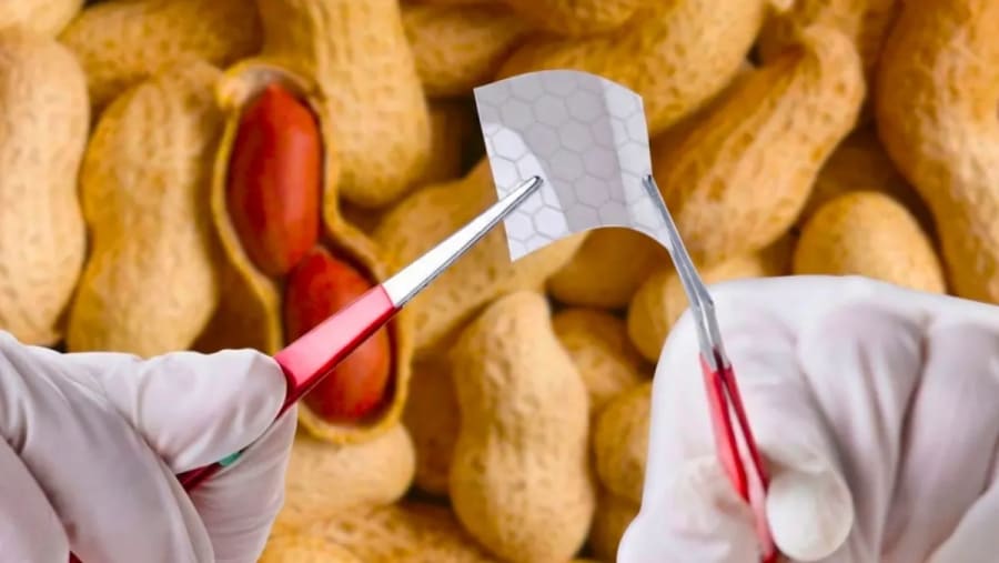 Grafeno barato y ecológico a partir de cáscaras de cacahuete: un proceso australiano aprovecha los 55.000.000 de toneladas de este 'fruto seco'
