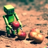 Photograph of a cute robot taking an apple from a pile of apples.