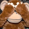 A photo of a cute stuffed animal monkey with its hands over its eyes. Camera is tightly framing its head. Its eyes are not visible as they are completely covered by its hands.