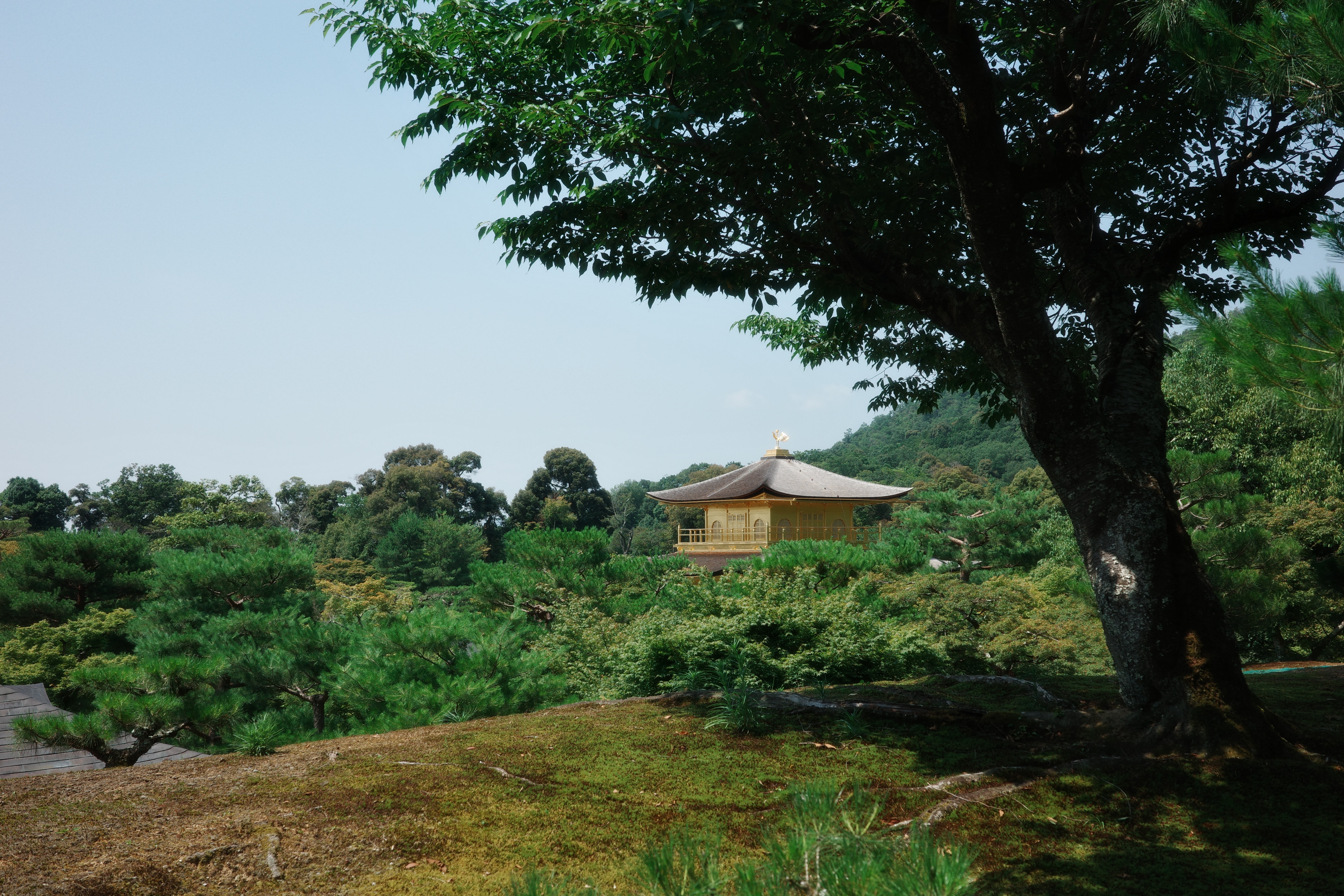 Kinkaku-ji