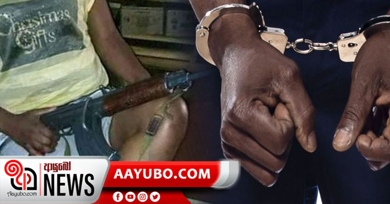 ගිනි අවි සමග යුද හමුදා සාමාජිකයන් අත්අඩංගුවට