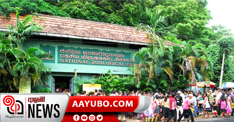 සත්තු වත්තේ වර්ජනයක්